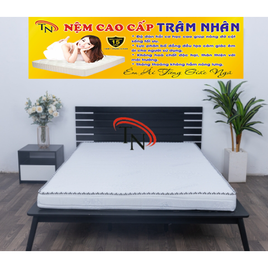 Nệm Foam 1,2m x 2m  Vải Gấm 
