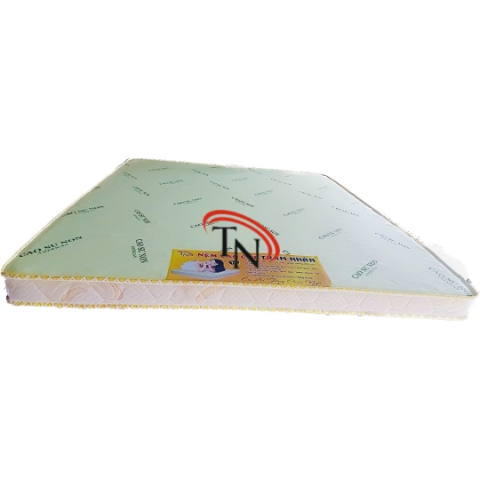 Nệm Foam 1,6m x 2m  Vải thung